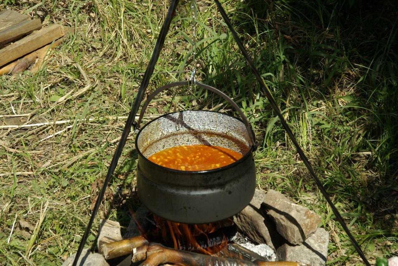 Pensiunea Aquavilla Maliuc 外观 照片